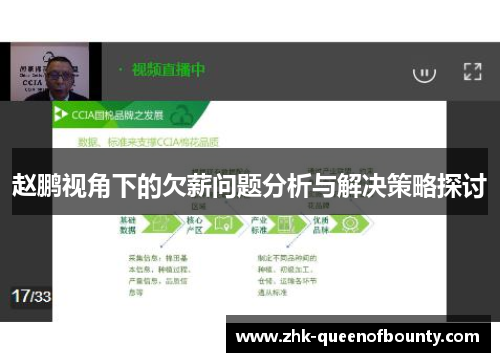 赵鹏视角下的欠薪问题分析与解决策略探讨